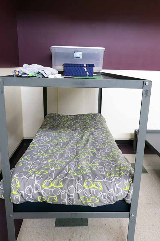 bed with comfortor