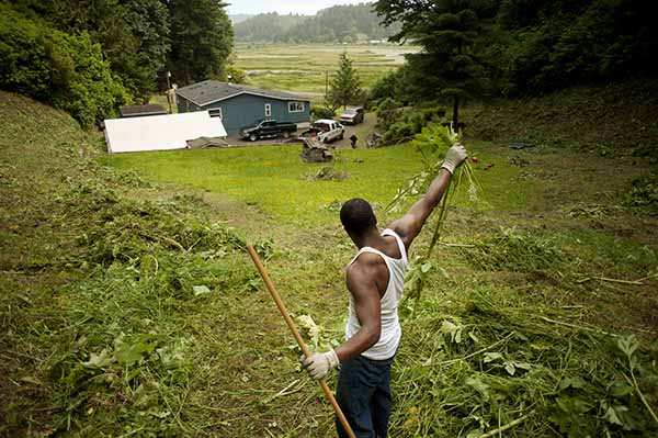 youth doing yard work