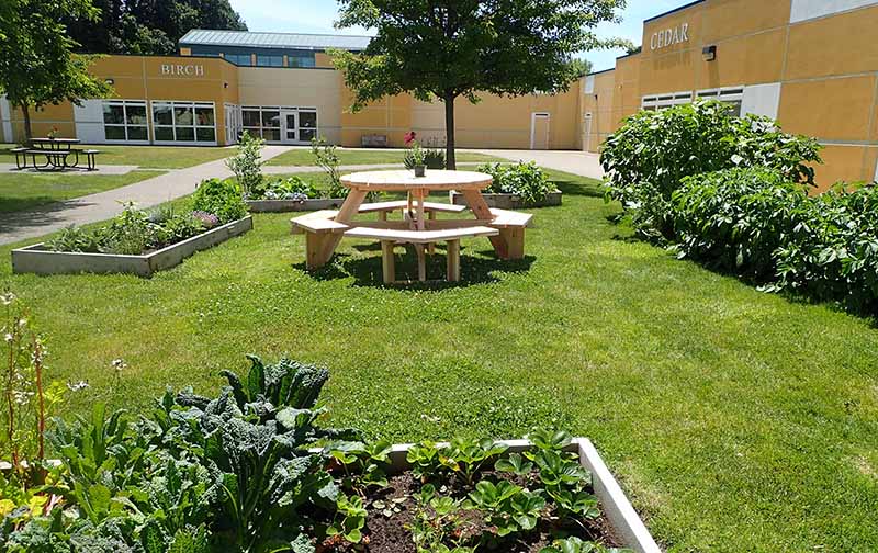 garden in courtyard