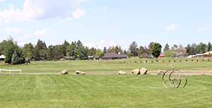 field outside