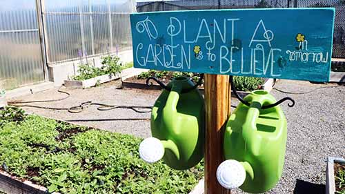 garden outside
