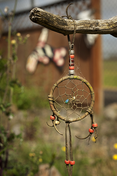 dreamcatcher hangs on branch