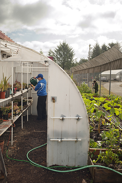 two young men water plants in and around a greenhouse