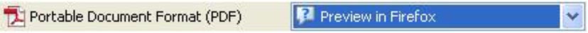 Firefox instruction picture 3