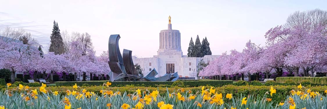 public finance oregon