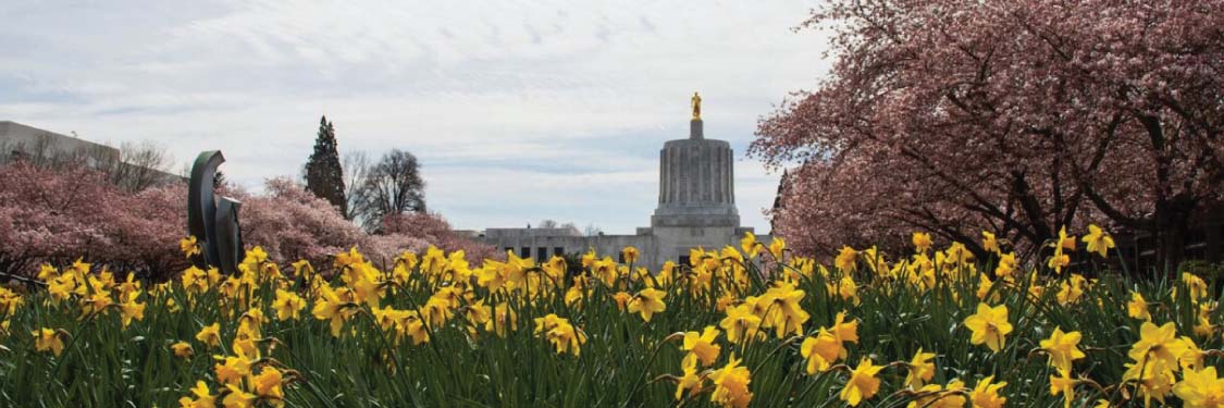 Oregon Legislature Mall