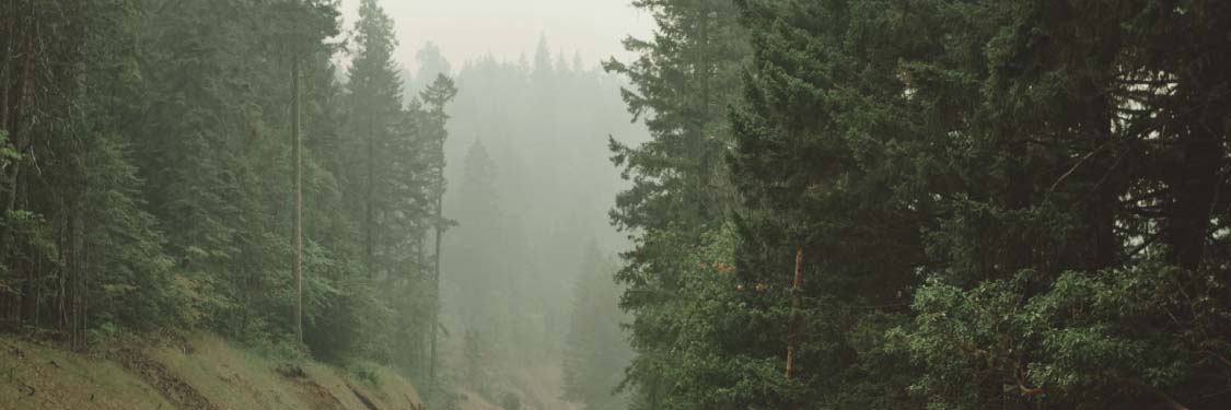 oregon-forest-fire